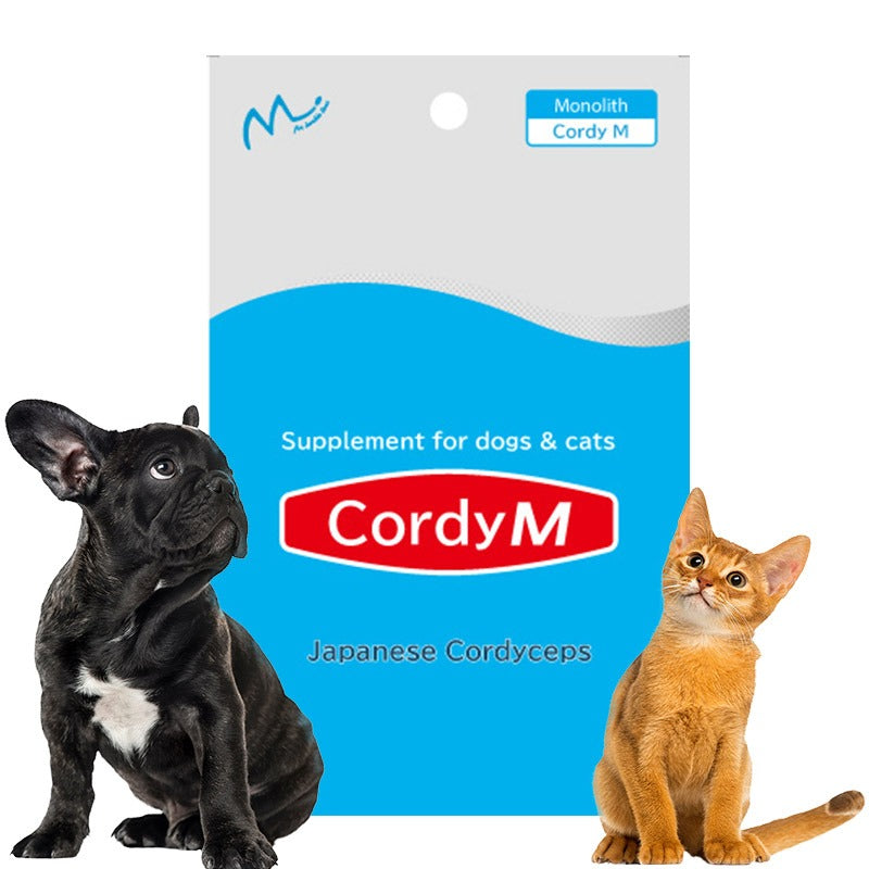 Cordy M Natural Supplement